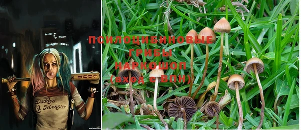 PSILOCYBIN Нея